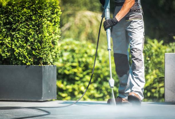 Best Gutter Cleaning  in La Habra Heights, CA