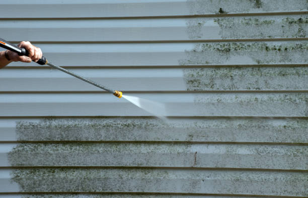 Best Driveway Pressure Washing  in La Habra Heights, CA
